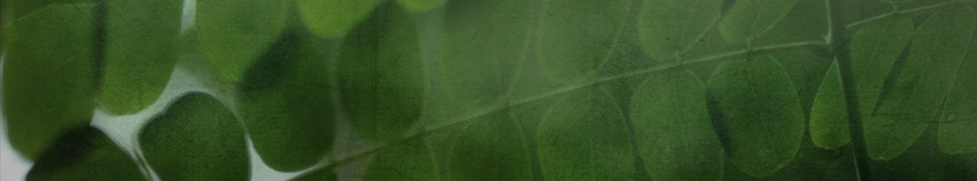 Obróbka Skrawaniem Toczenie Metali Obróbka Metalu Szlifowanie Frezowanie Formy Wtryskowe Piła Poznań Wrocław Kraków Warszawa Gdańsk Toruń Bydgoszcz Koszalin